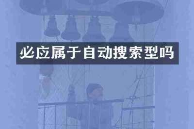 必应属于自动搜索型吗