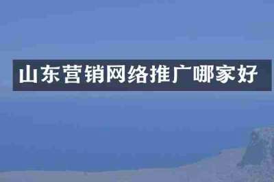 山东营销网络推广哪家好