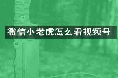 微信小老虎怎么看视频号