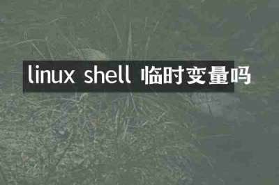linux shell 临时变量吗