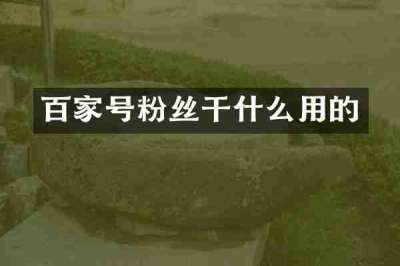 百家号粉丝干什么用的