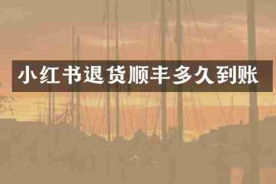 小红书退货顺丰多久到账