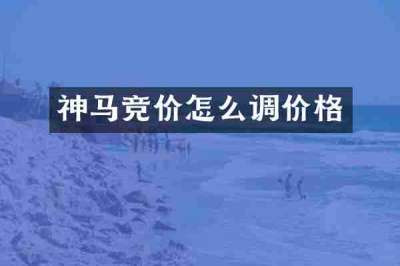 神马竞价怎么调价格