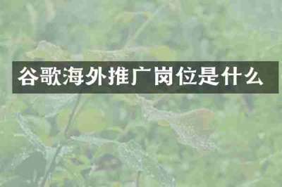 谷歌海外推广岗位是什么