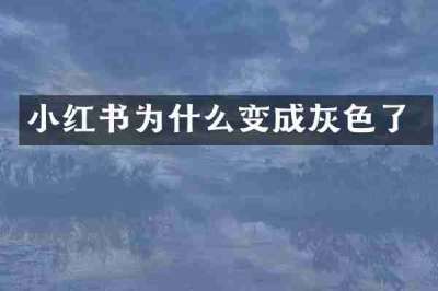 小红书为什么变成灰色了