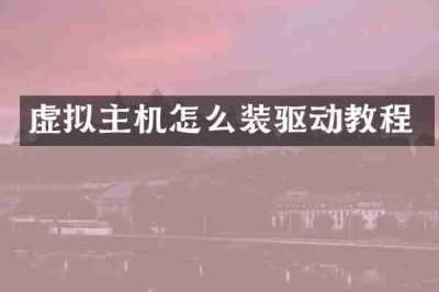 虚拟主机怎么装驱动教程