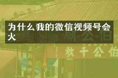 为什么我的微信视频号会火