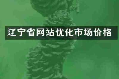 辽宁省网站优化市场价格