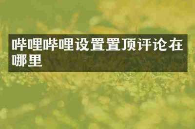 哔哩哔哩设置置顶评论在哪里