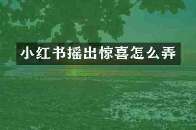 小红书摇出惊喜怎么弄