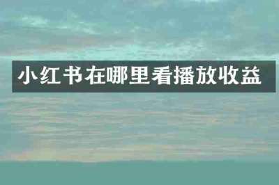 小红书在哪里看播放收益
