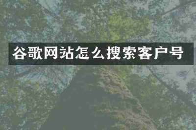 谷歌网站怎么搜索客户号