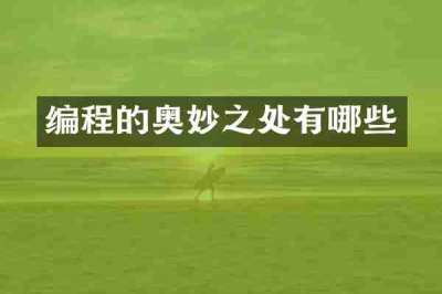 编程的奥妙之处有哪些