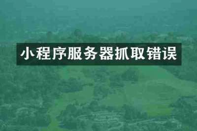 小程序服务器抓取错误