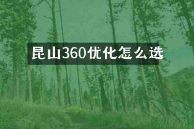 昆山360优化怎么选