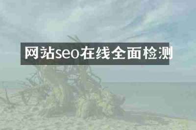 网站seo在线全面检测