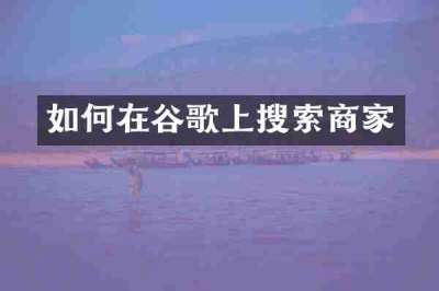 如何在谷歌上搜索商家