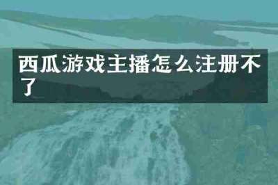 西瓜游戏主播怎么注册不了