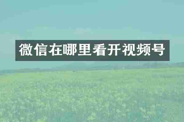 微信在哪里看开视频号