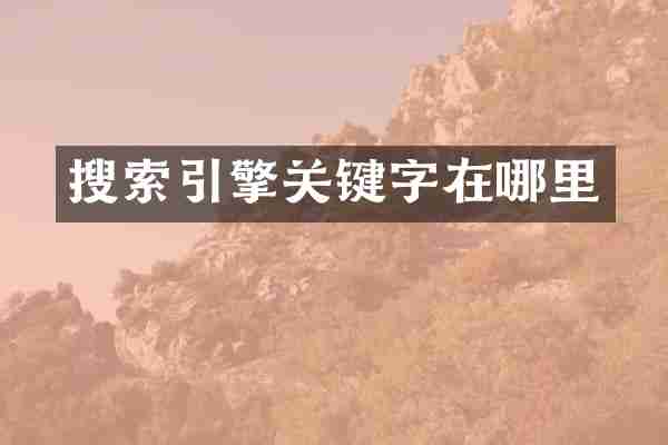 搜索引擎关键字在哪里