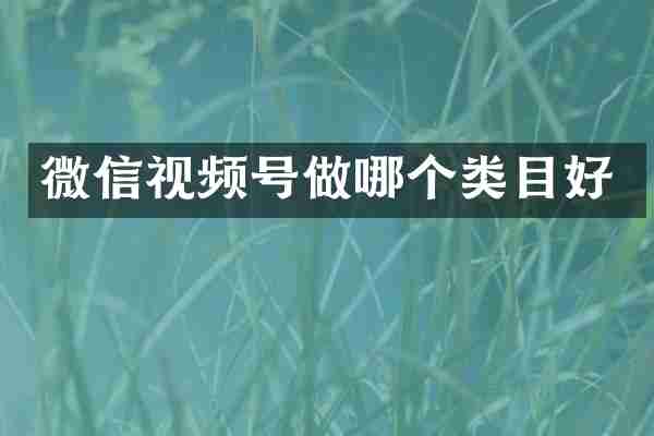 微信视频号做哪个类目好