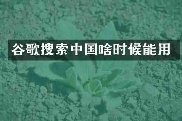 谷歌搜索中国啥时候能用