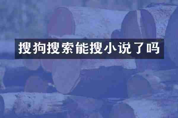 搜狗搜索能搜小说了吗