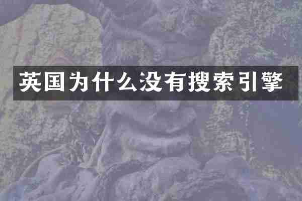 英国为什么没有搜索引擎