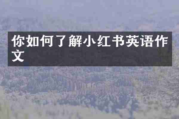 你如何了解小红书英语作文