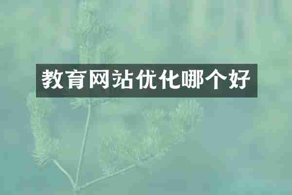 教育网站优化哪个好