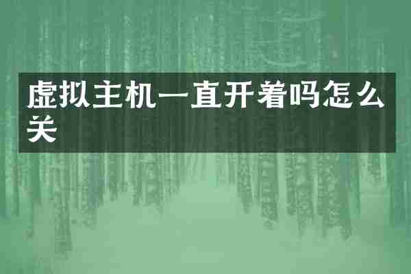 虚拟主机一直开着吗怎么关