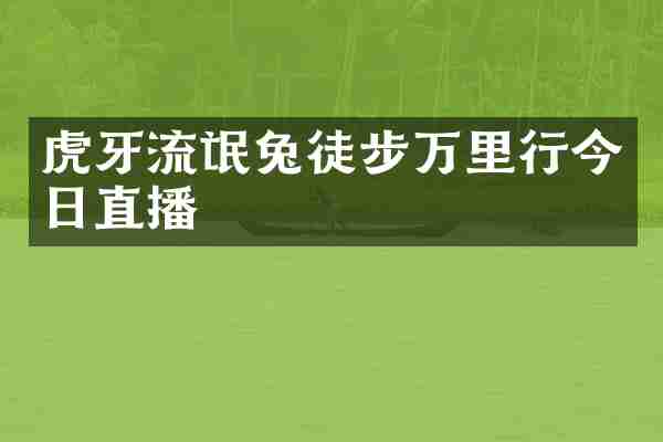 虎牙流氓兔徒步万里行今日直播