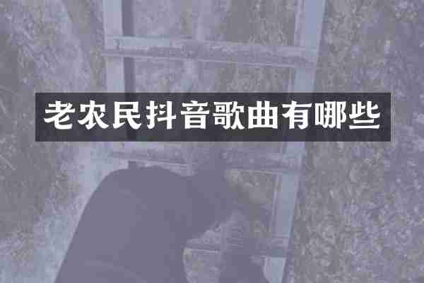 老农民抖音歌曲有哪些