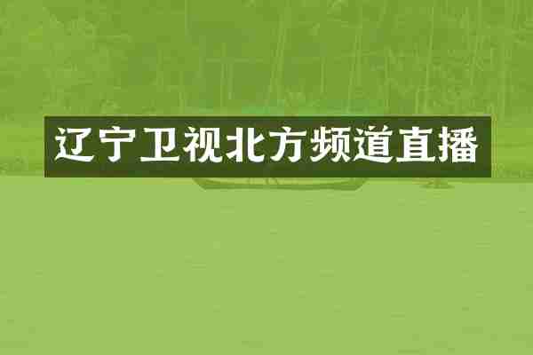 辽宁卫视北方频道直播