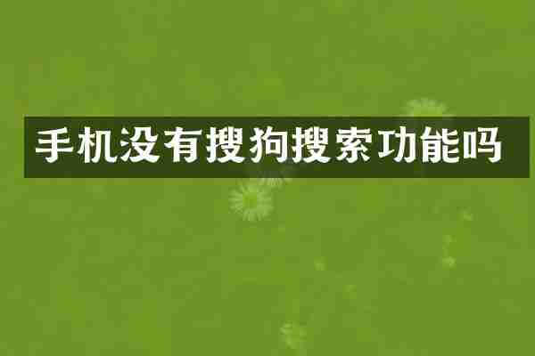 手机没有搜狗搜索功能吗