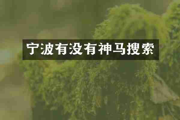 宁波有没有神马搜索