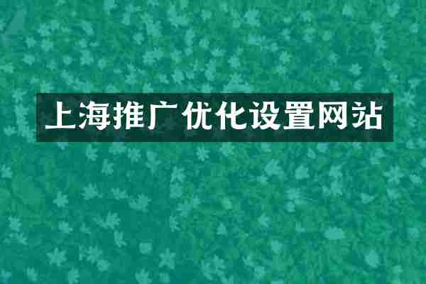 上海推广优化设置网站