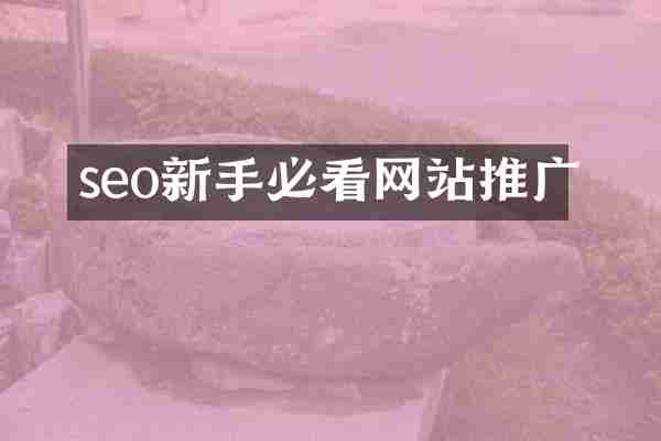 seo新手必看网站推广
