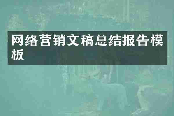 网络营销文稿总结报告模板