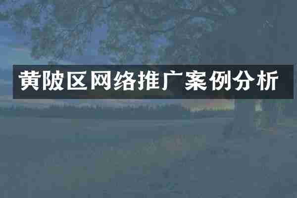 黄陂区网络推广案例分析