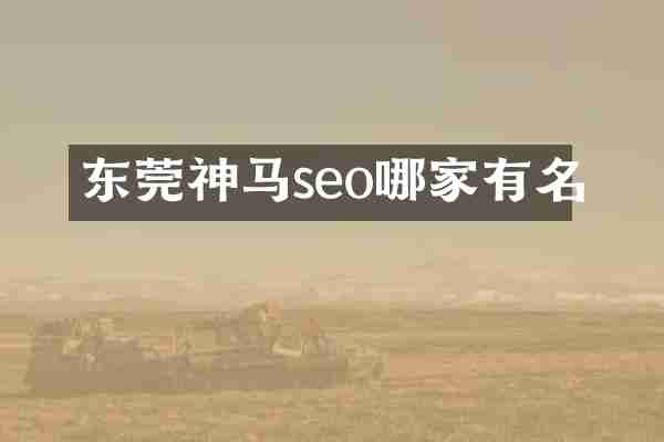 东莞神马seo哪家有名