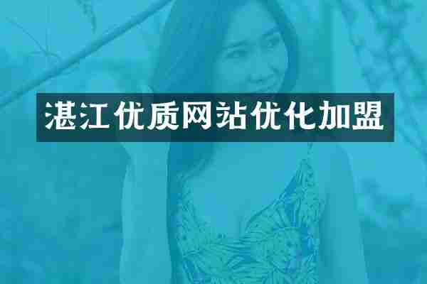 湛江优质网站优化加盟
