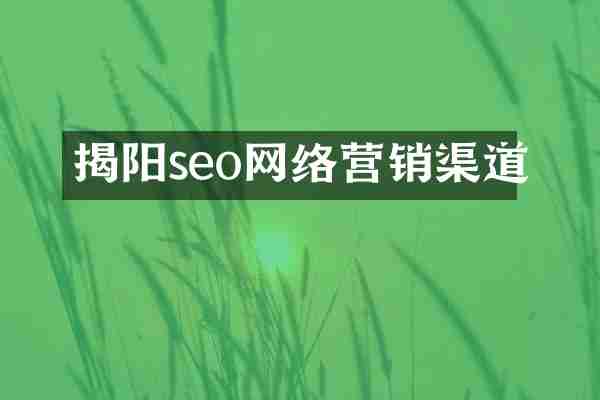 揭阳seo网络营销渠道