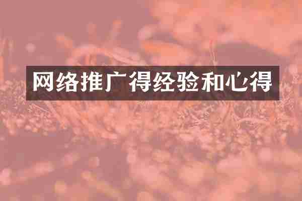 网络推广得经验和心得