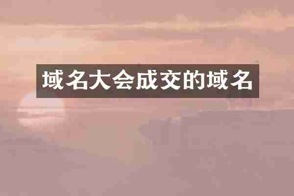 域名大会成交的域名