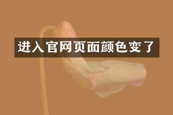 进入官网页面颜色变了
