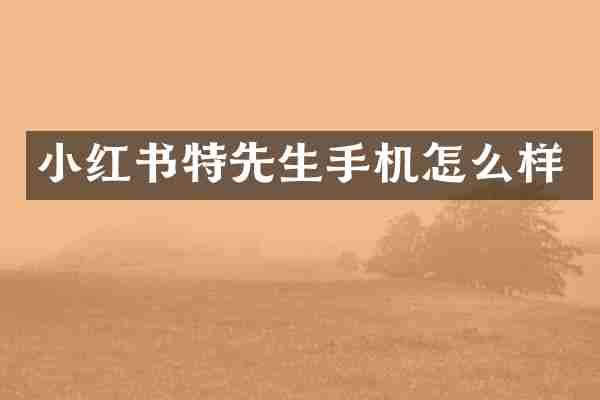 小红书特先生手机怎么样
