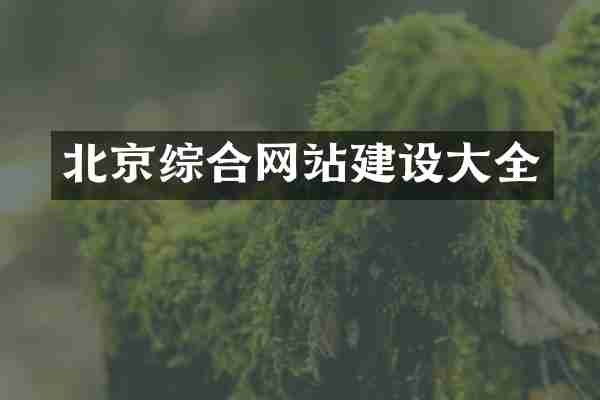 北京综合网站建设大全