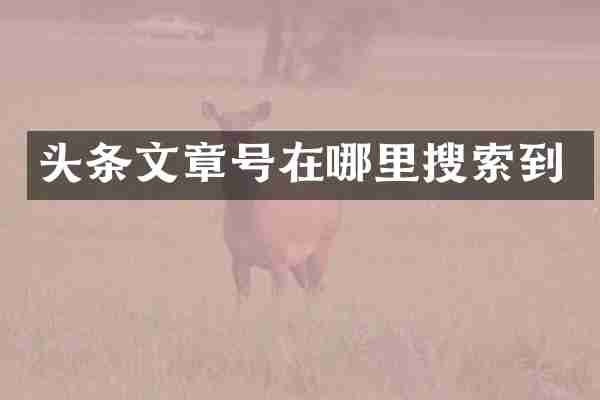 头条文章号在哪里搜索到