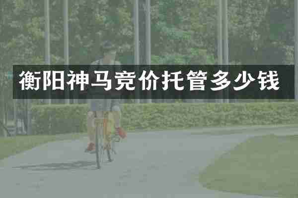 衡阳神马竞价托管多少钱